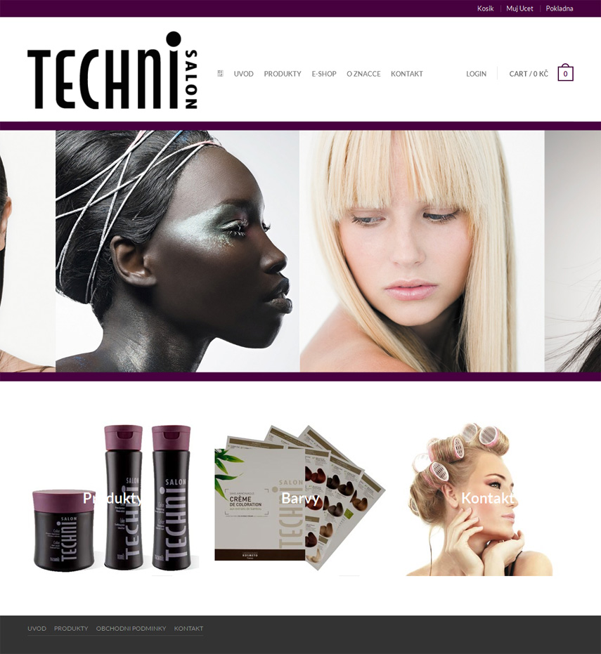 TechnisalonSite.jpg